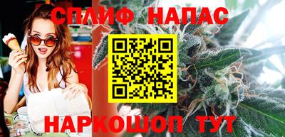 молекула духа Будённовск