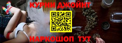 молекула духа Будённовск
