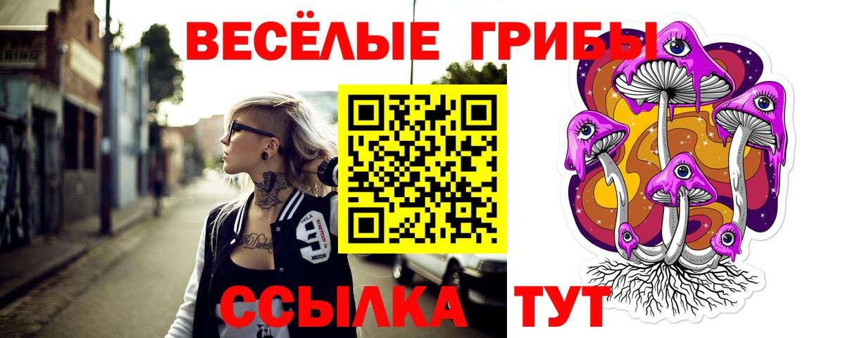 Галлюциногенные грибы Cubensis  наркота  Вход с VPN  Ставрополь  Галлюциногенные грибы прущие грибы 